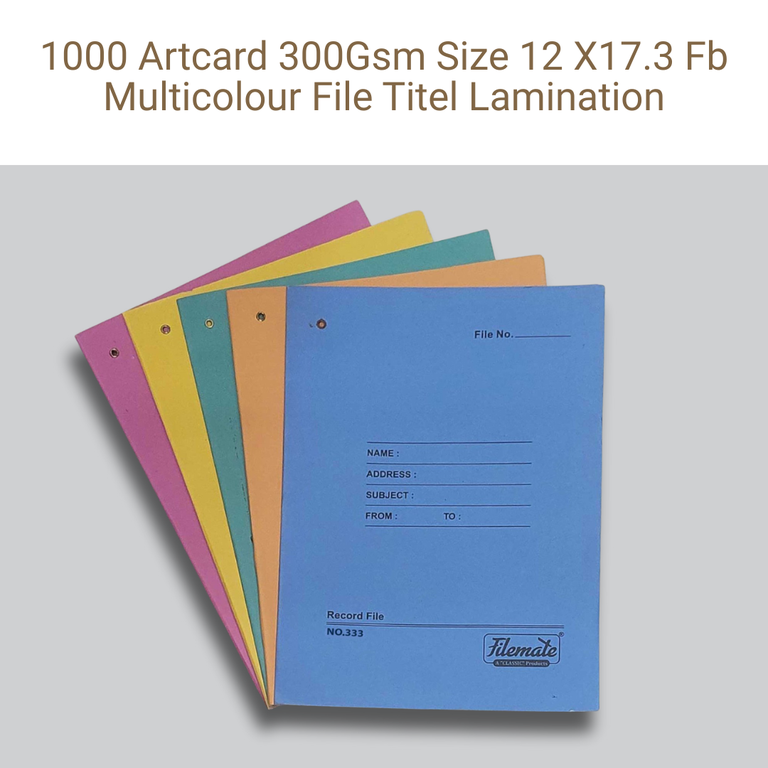 Picture of Art Card File – 300 GSM – 12×17.3 in – Front & Back Multicolor – Lamination – Qty 1000