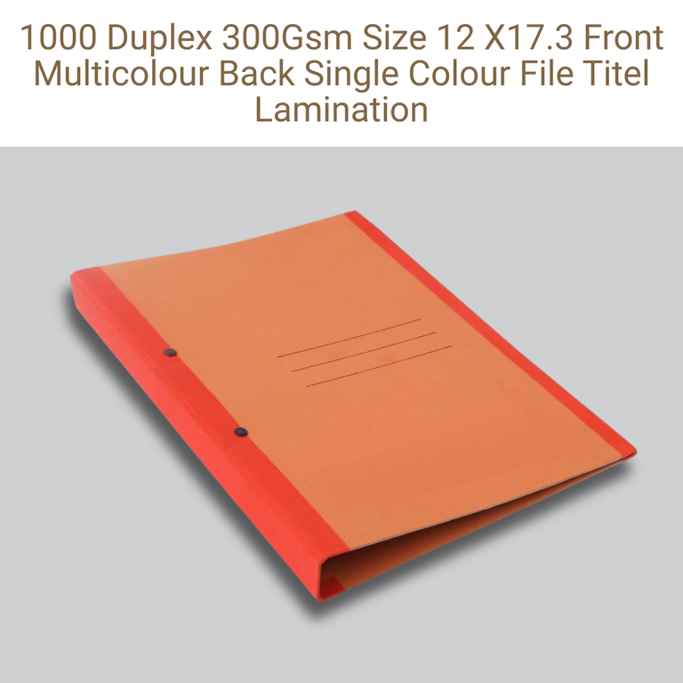 Picture of Duplex File – 300 GSM – 12×17.3 in – Front Multicolor / Back Single Color – Lamination – Qty 1000