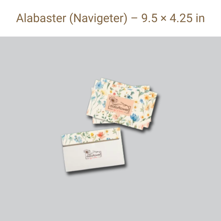Picture of Alabaster Navigator Paper – 100 GSM – 9.5×4.25 in